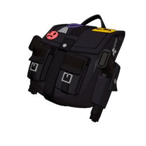 Little Black Bag