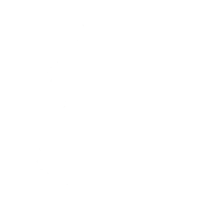 Lil’ Diplodoculus