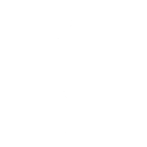 Wakandan Salute
