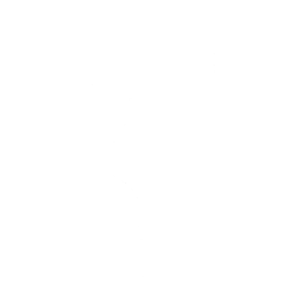 Rolly Rider