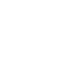 Rhyme Dust