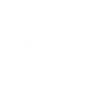 Martial Arts Master