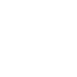 Fast Feet