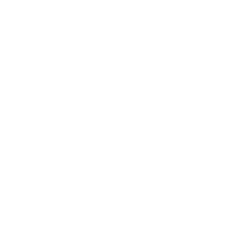Bhangra Boogie