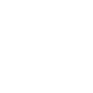 Burpee