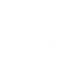 Catling Gun