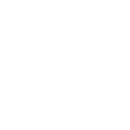 Dancin’ Domino