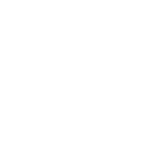 Digitized