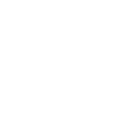 Shimmy Wiggle