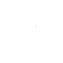 Stupid Sexy Skiing