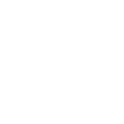 Fast Slow Disco
