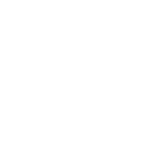 CapturePose02