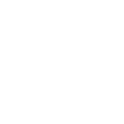 Dark Transformation
