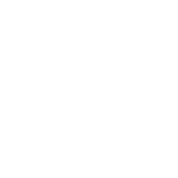 Soul Slash