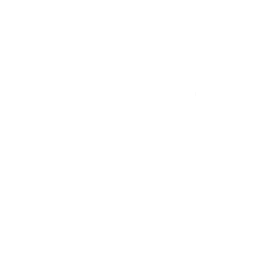 Vanguard’s Charge