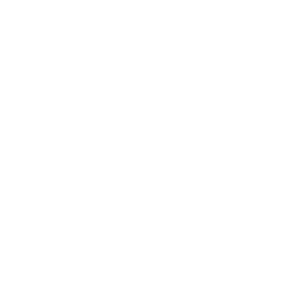 Peter Griffin Speed Bag