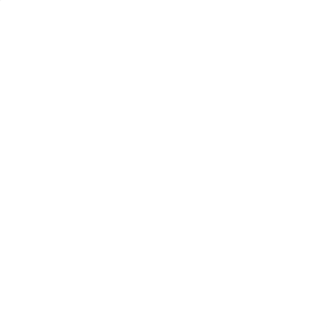 Fist Pump