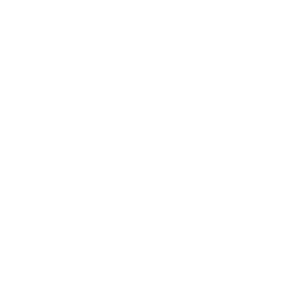 Flamenco