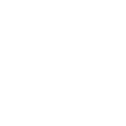 Bodies