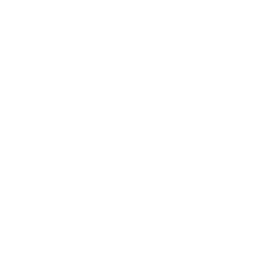 Kite!