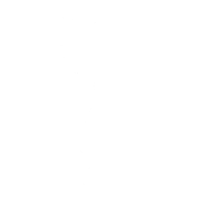 Disc Spinner