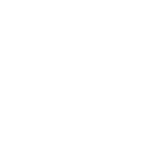 Disc Spinner