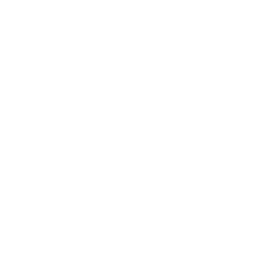 Gangsta Walk