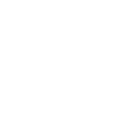 Saxophone Solo