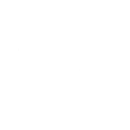Ringer