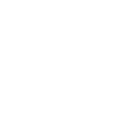 Bossa Boogie