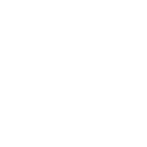 Segway Tour
