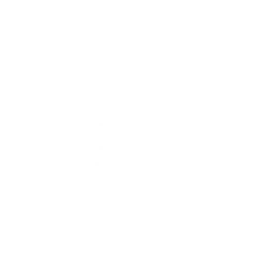 Segway Tour