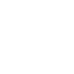 Fusion Cannon