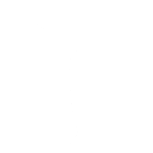 Shapeshifter