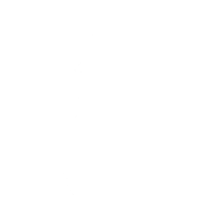 Bouncer