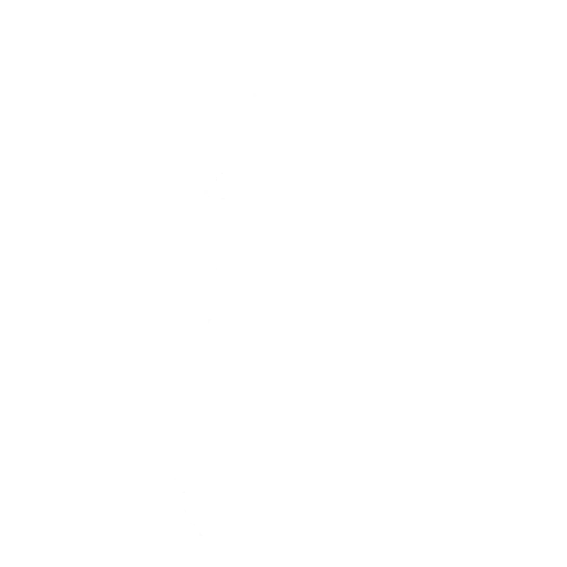 Bouncer