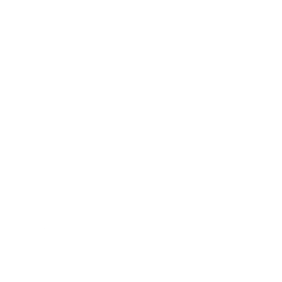 Llamacorn Sleigh