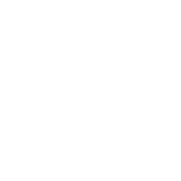 Houdini