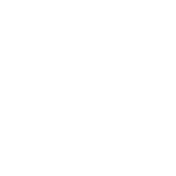 Chainsaw Dance