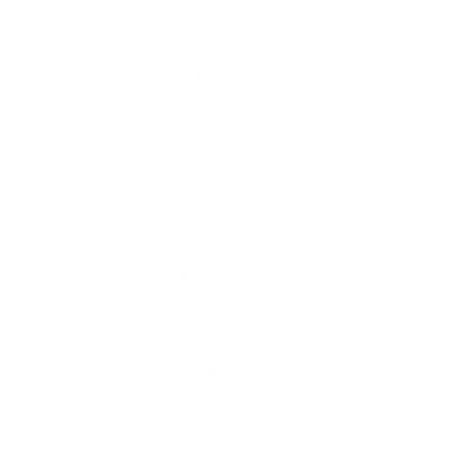 Assassin’s Strike