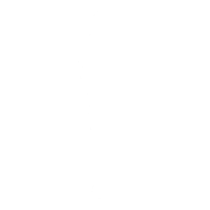 The Renegade