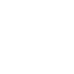 Boomerang