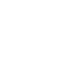 Syntheslicer