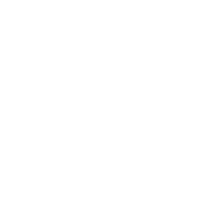 Dynamic Shuffle