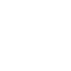 Cat Flip