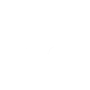 Trinity’s Kick