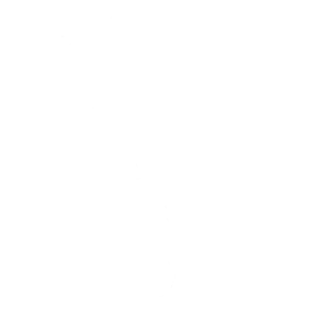 Bounce Berry