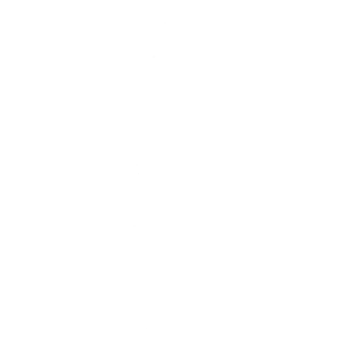 The Macarena
