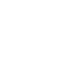Metal Detectin’