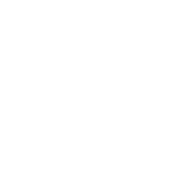 Lil’ Resistance Bomber